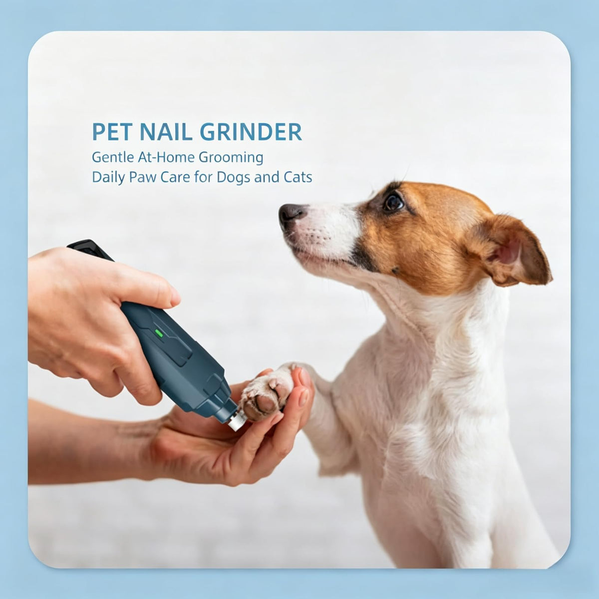 Dog Nail Grinder with 3 Ports, 2 Speeds R15178