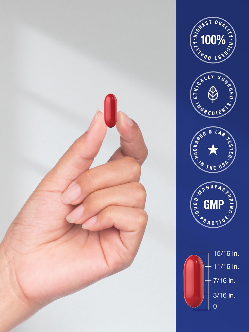 Memory Support Supplement 60 Softgels K45902