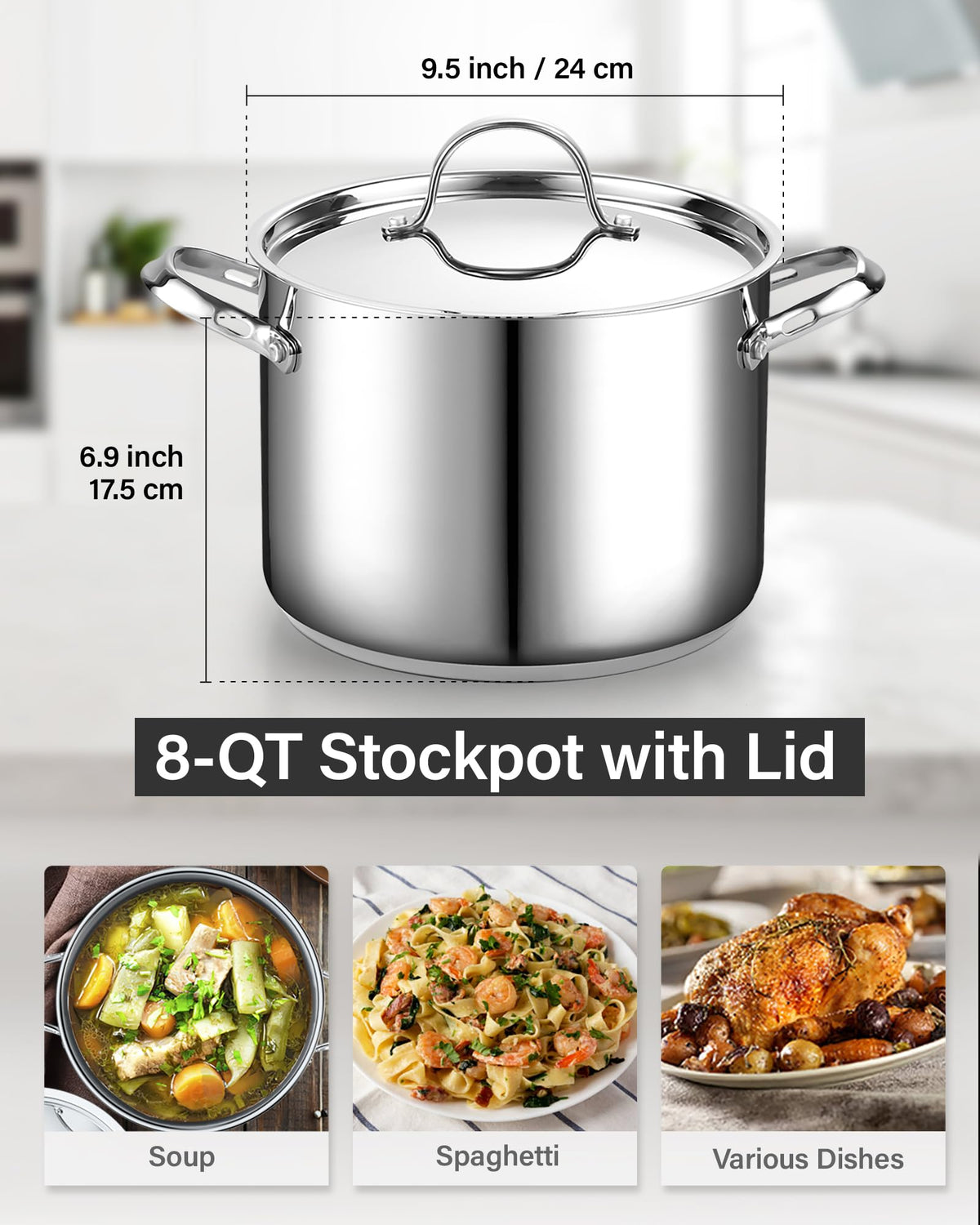 8 Quart Stainless Steel Stock Pot G401