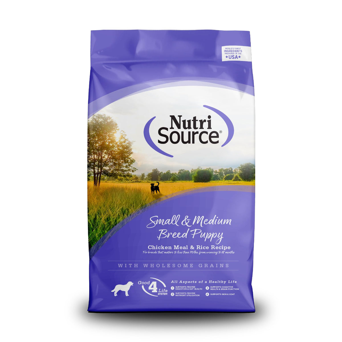 Small & Medium Breed Puppy Dry Dog Food, 4 lb I3201