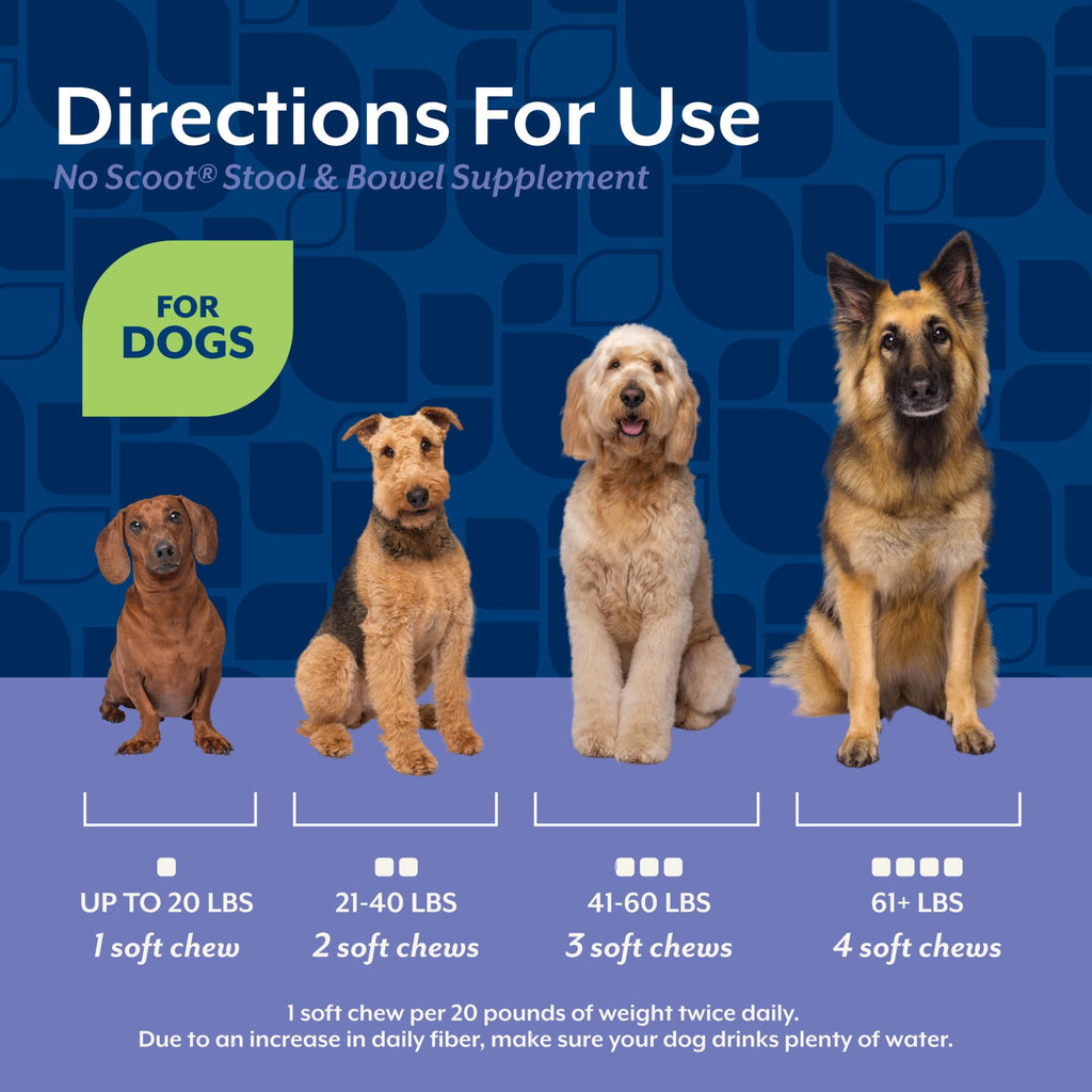 Dog Stool and Bowel Supplement 60 Soft Chews D31651