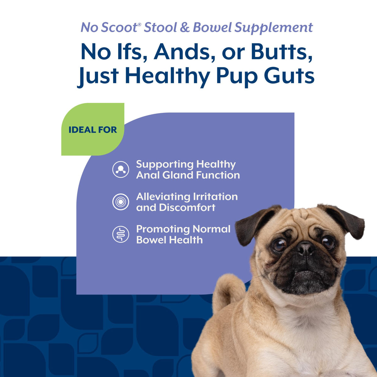 Dog Stool and Bowel Supplement 60 Soft Chews D31651