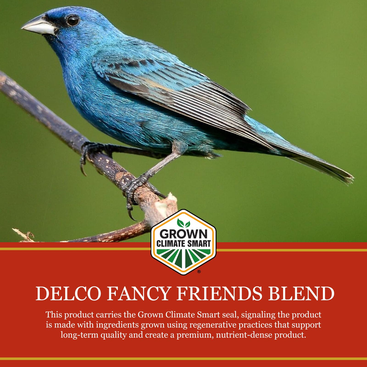 Wild Bird Seed Blend 20 lb F466210