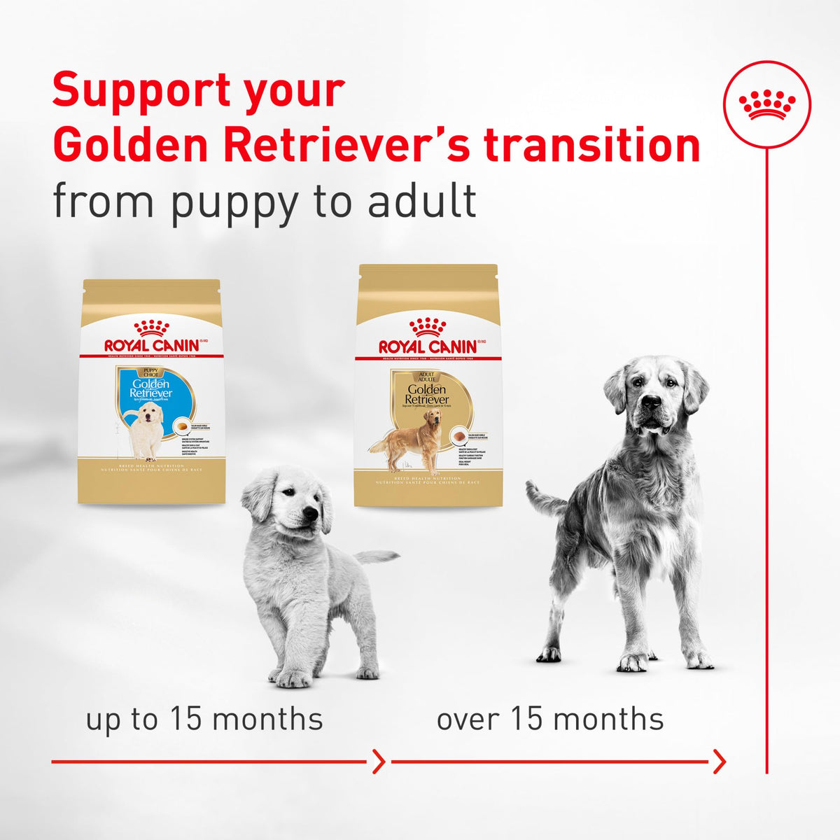 Dry Dog Food 30 lb Bag M103908