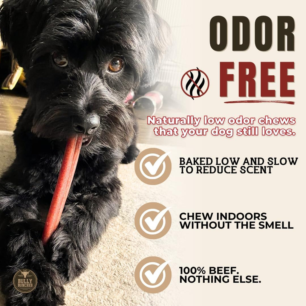 6" 5 Pack Odor-Free Bully Sticks Dog Treats S6783