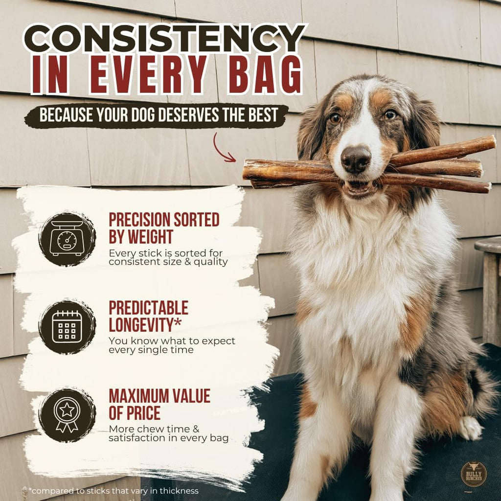6" 5 Pack Odor-Free Bully Sticks Dog Treats S6783