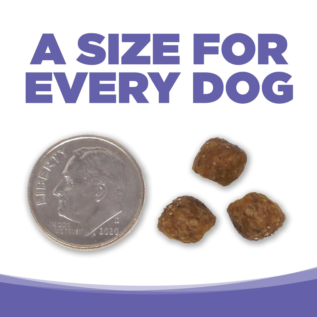 Small & Medium Breed Puppy Dry Dog Food, 4 lb I3201