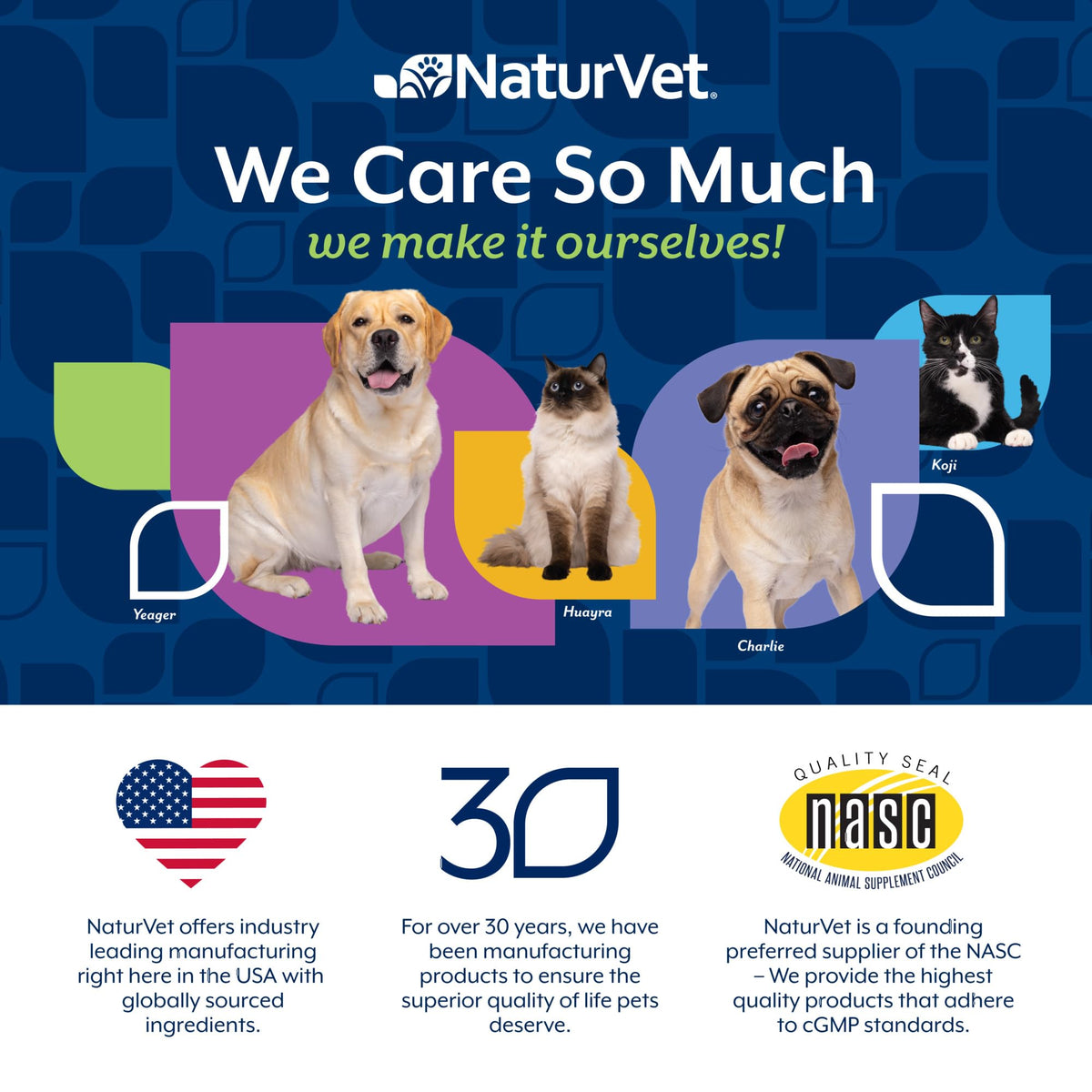 Dog Stool and Bowel Supplement 60 Soft Chews D31651