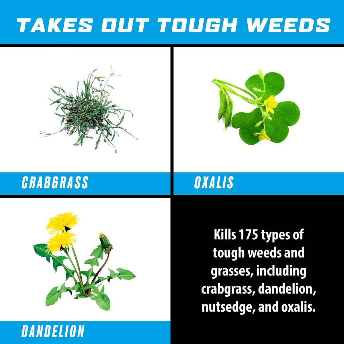 Weed & Grass Killer Refill 1 gal. I19865