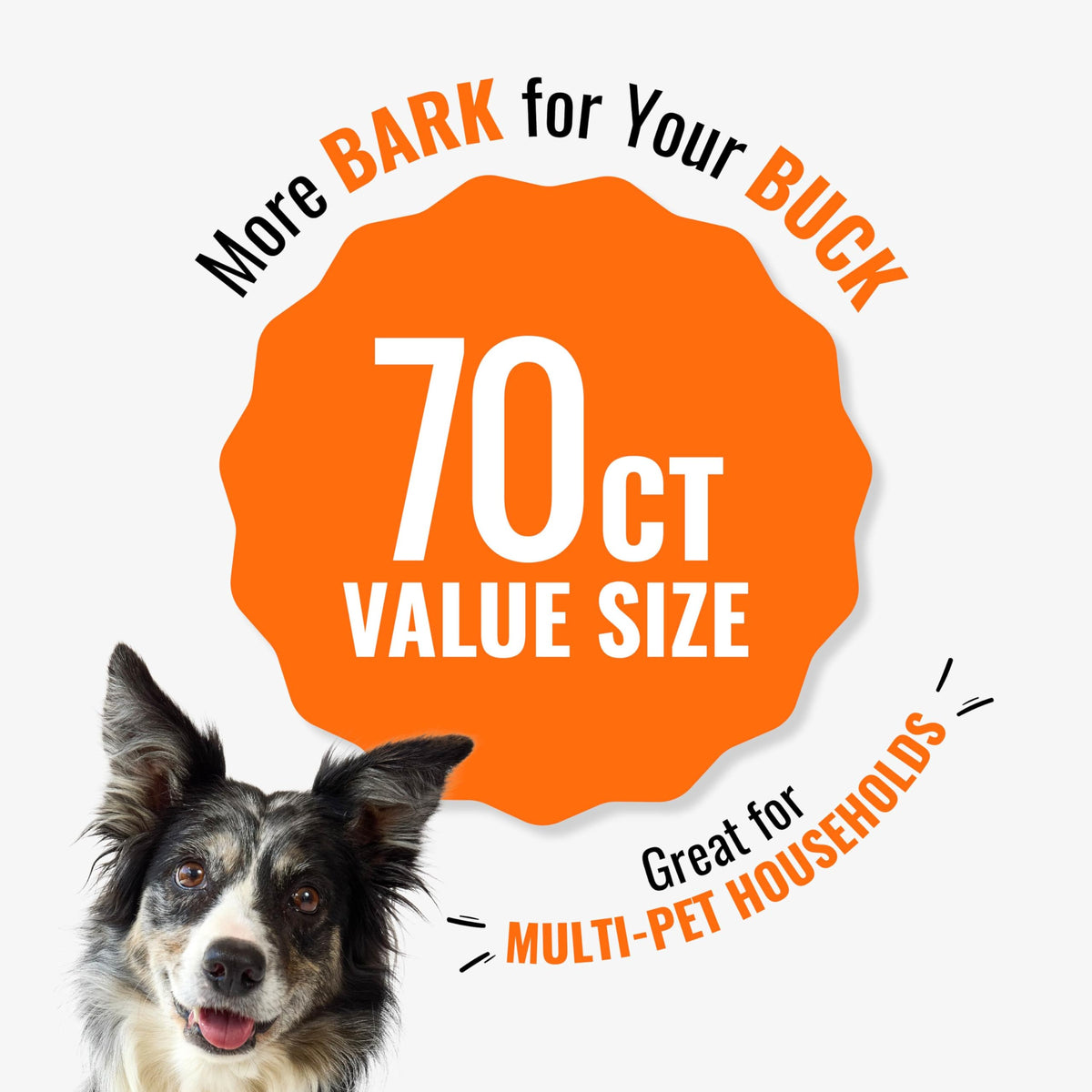 Long-Lasting Dog Treat with Real Protein, 70 Count I31530