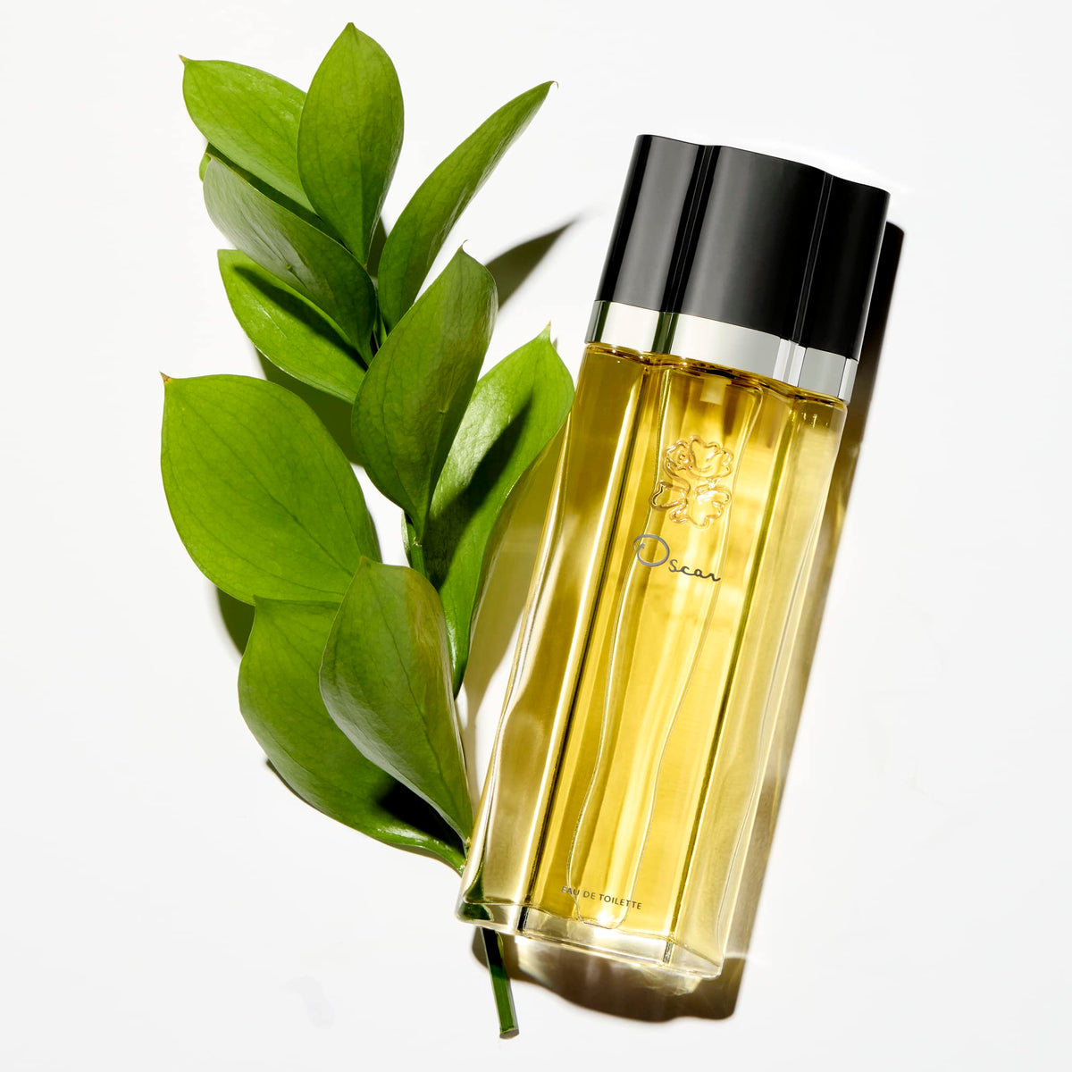 Eau de Toilette Perfume Spray for Women D19348