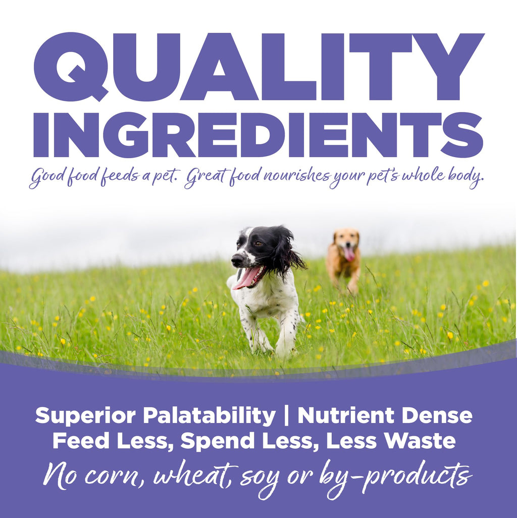 Small & Medium Breed Puppy Dry Dog Food, 4 lb I3201