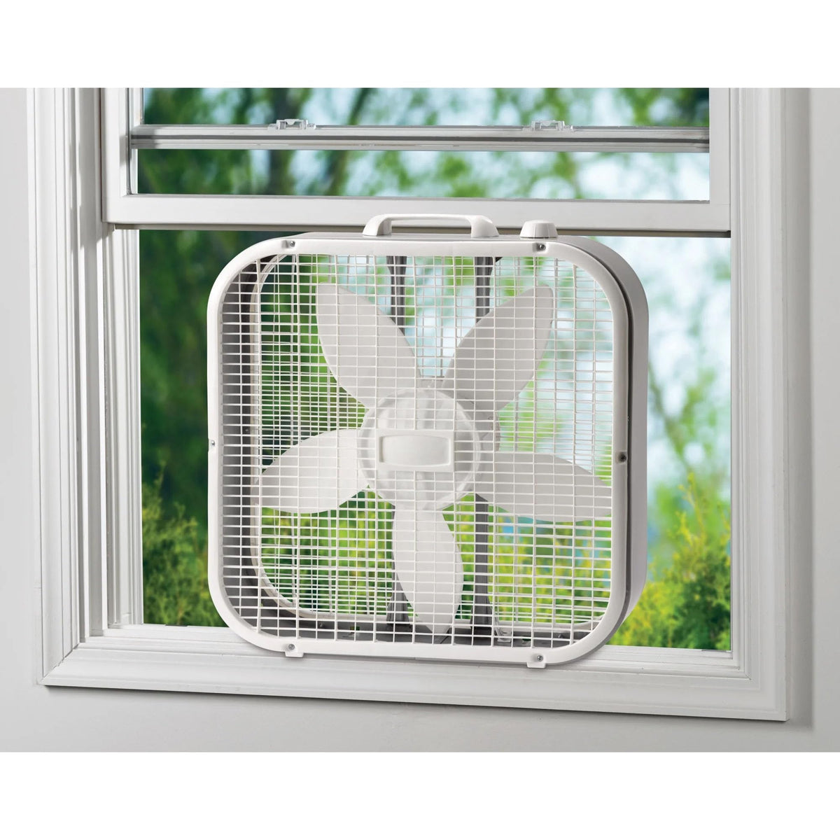 20 Inch White 3 Speed Box Fan T1705