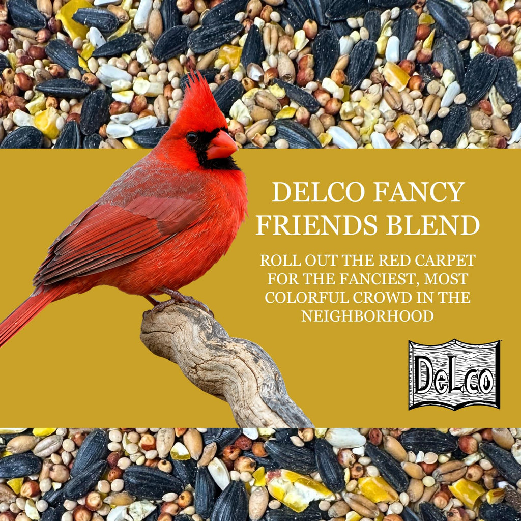 Wild Bird Seed Blend 20 lb F466210