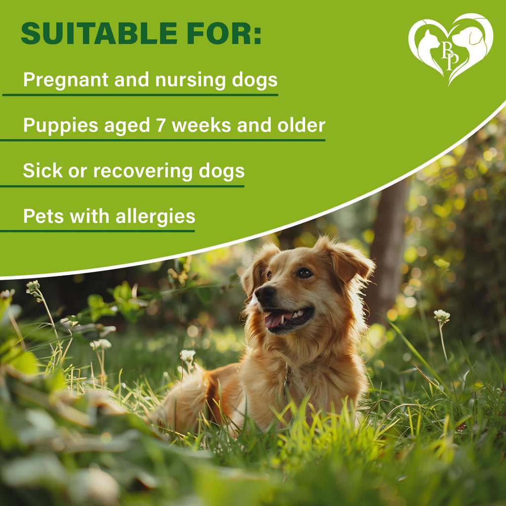 Natural Flea & Tick Collar for Dogs V192