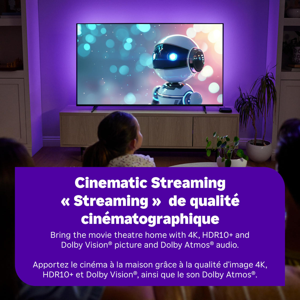 4K Streaming Device with HDR10+ Z152168