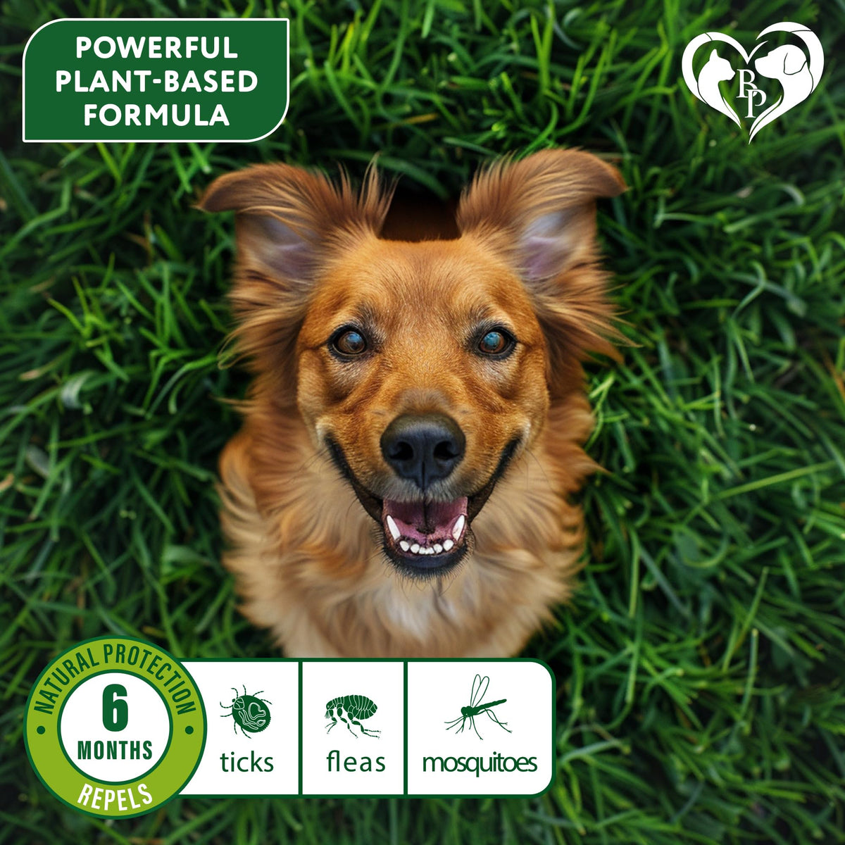 Natural Flea & Tick Collar for Dogs V192