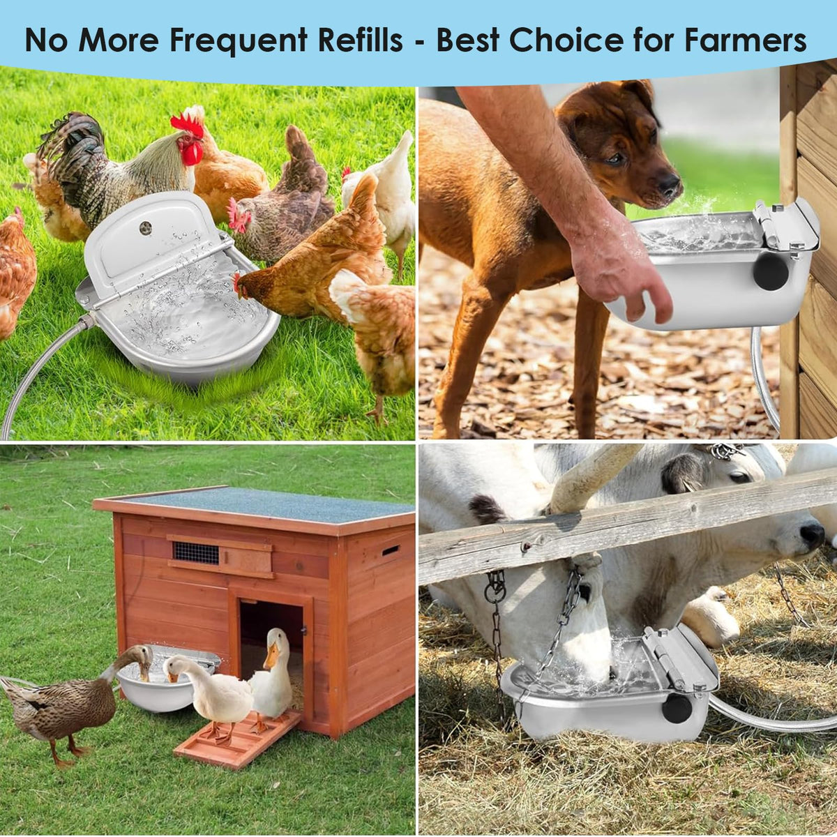 Stainless Steel Poultry Waterer V599