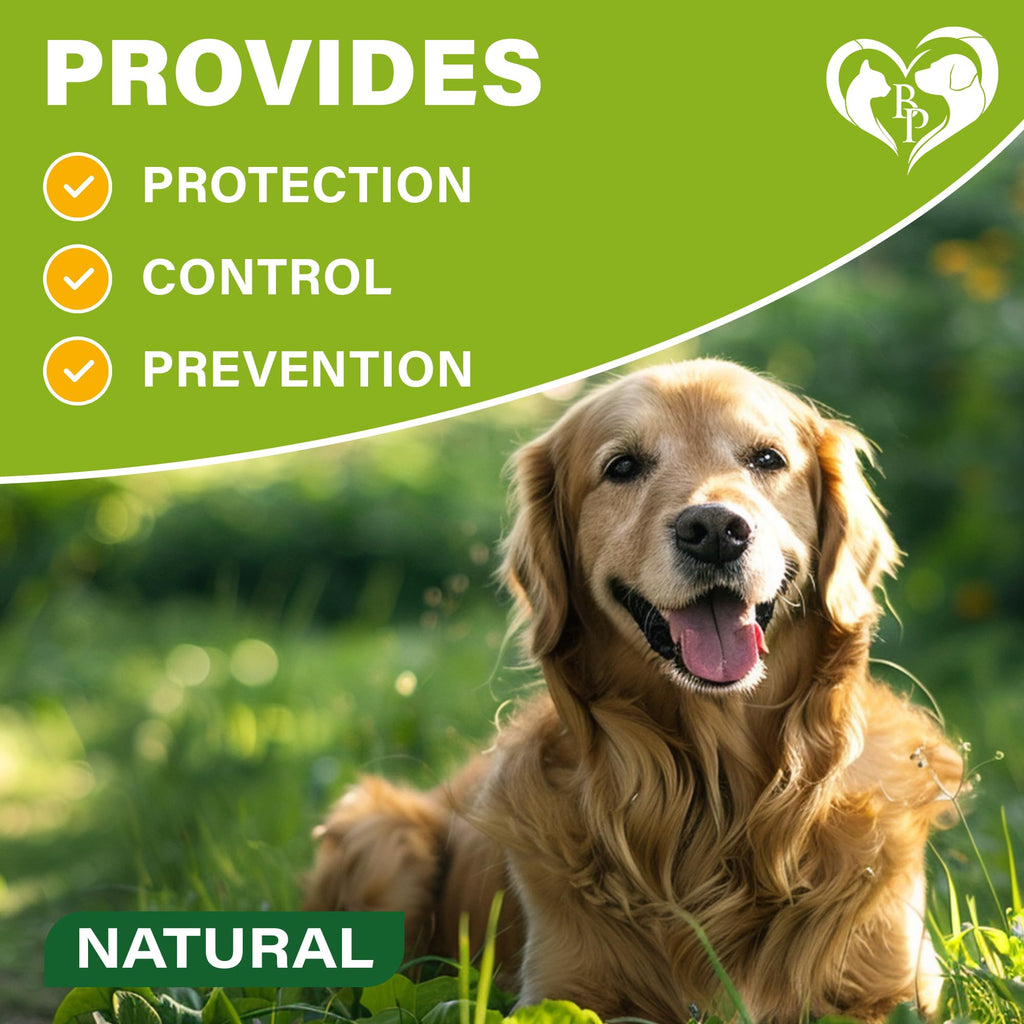 Natural Flea & Tick Collar for Dogs V192
