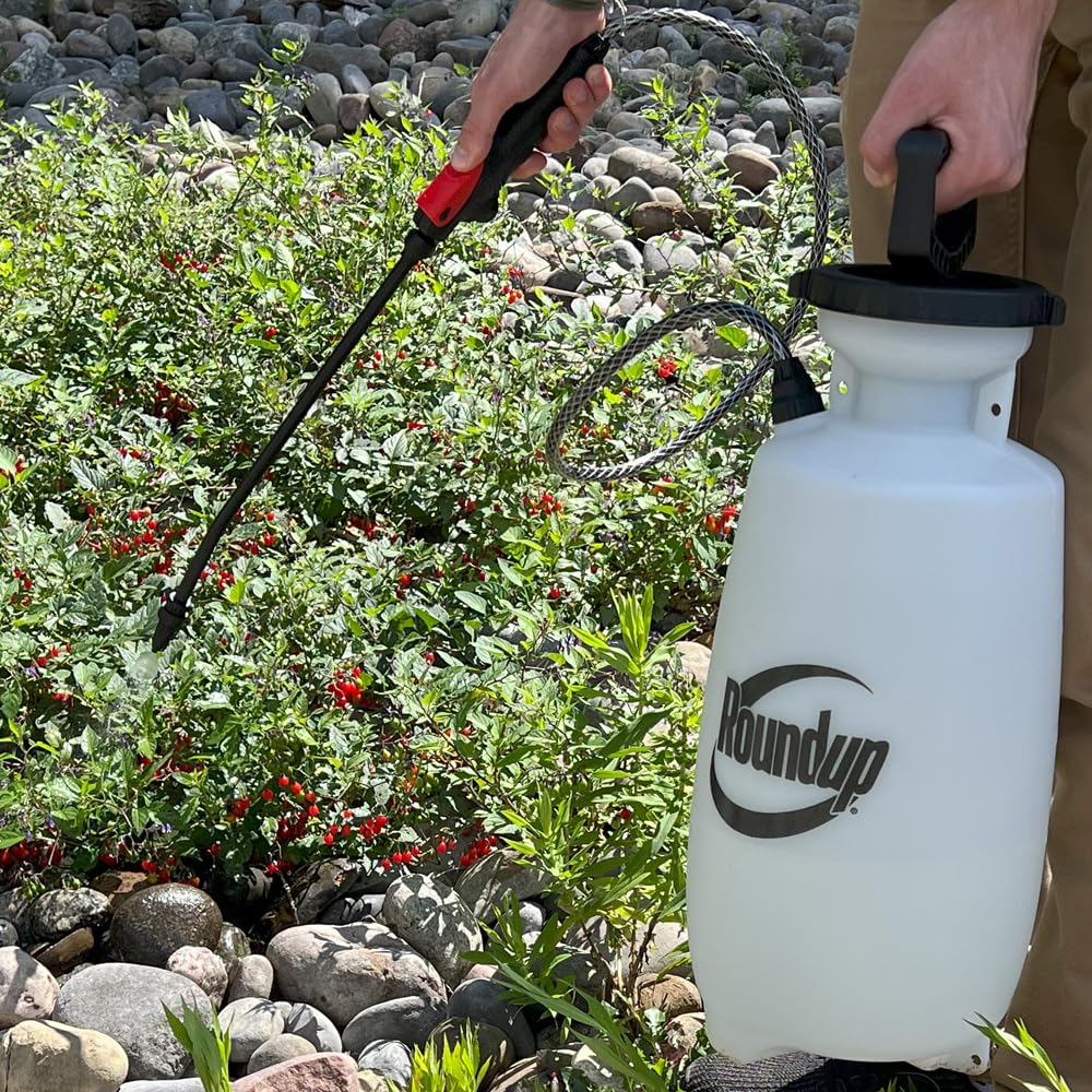 2-Gallon Lawn and Garden Sprayer T345962