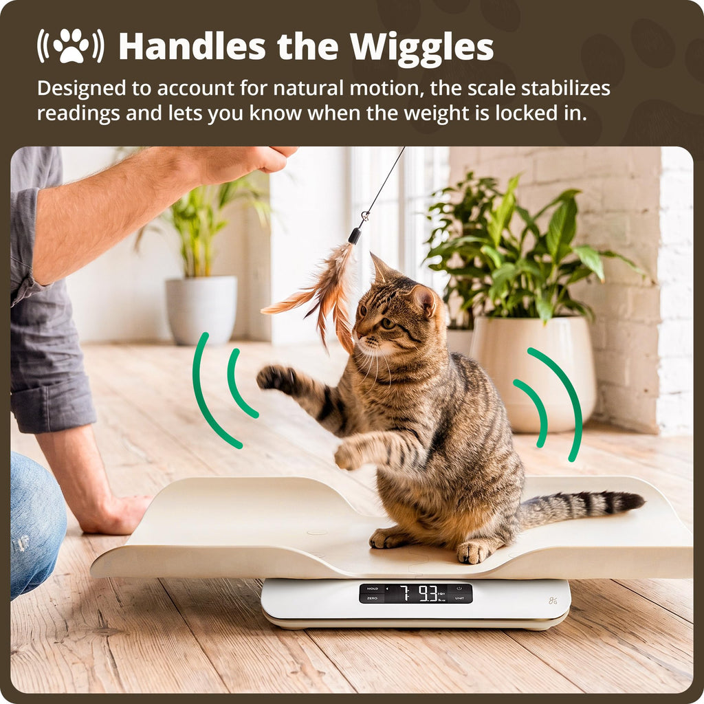 Digital Pet Scale for Cats, Dogs & Small Animals R956