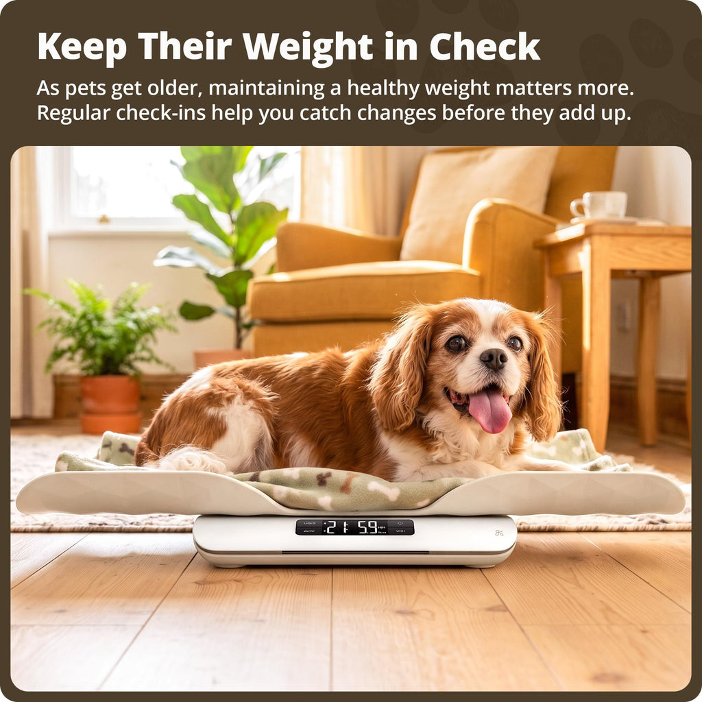 Digital Pet Scale for Cats, Dogs & Small Animals R956
