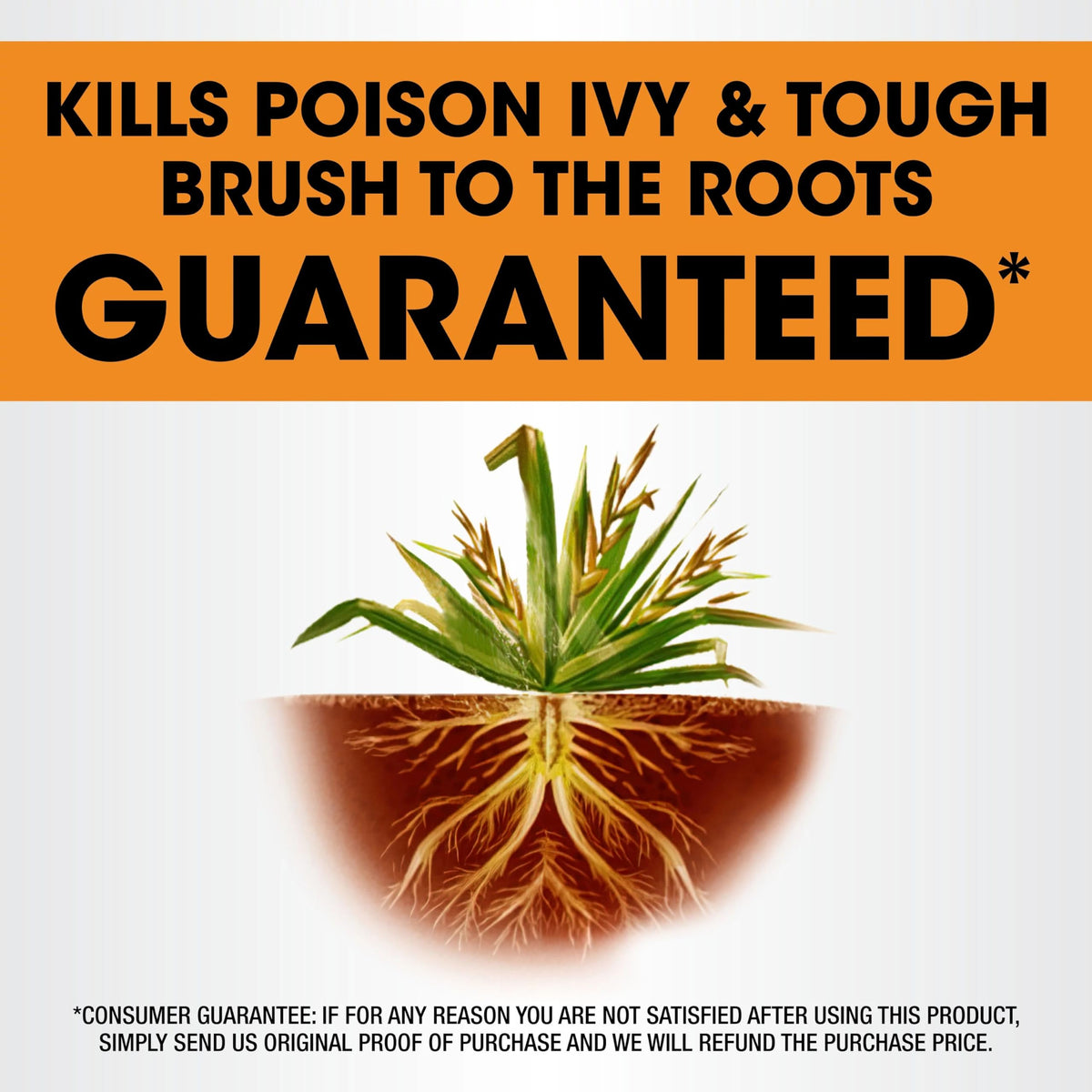 32 fl. oz. Concentrate Brush Killer J565752