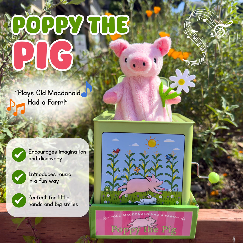 Pig Jack in the Box Z5488